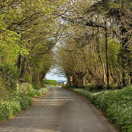 The Moat On The Greenway Dungarvan  Exterior photo
